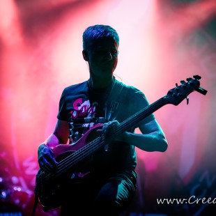 0131 Koza 022